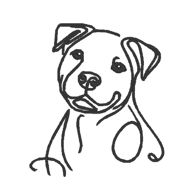 American Staffordshire Terrier