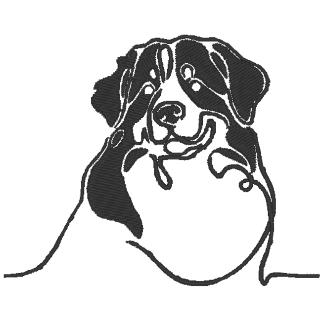 Bernese Mountain Dog