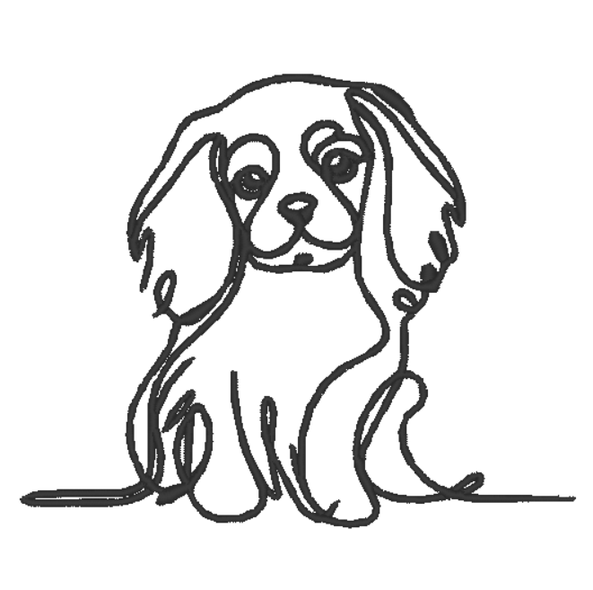 Cavalier King Charles Spaniel